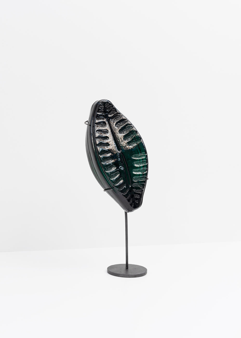Planothidium · Verre marin Glaz
