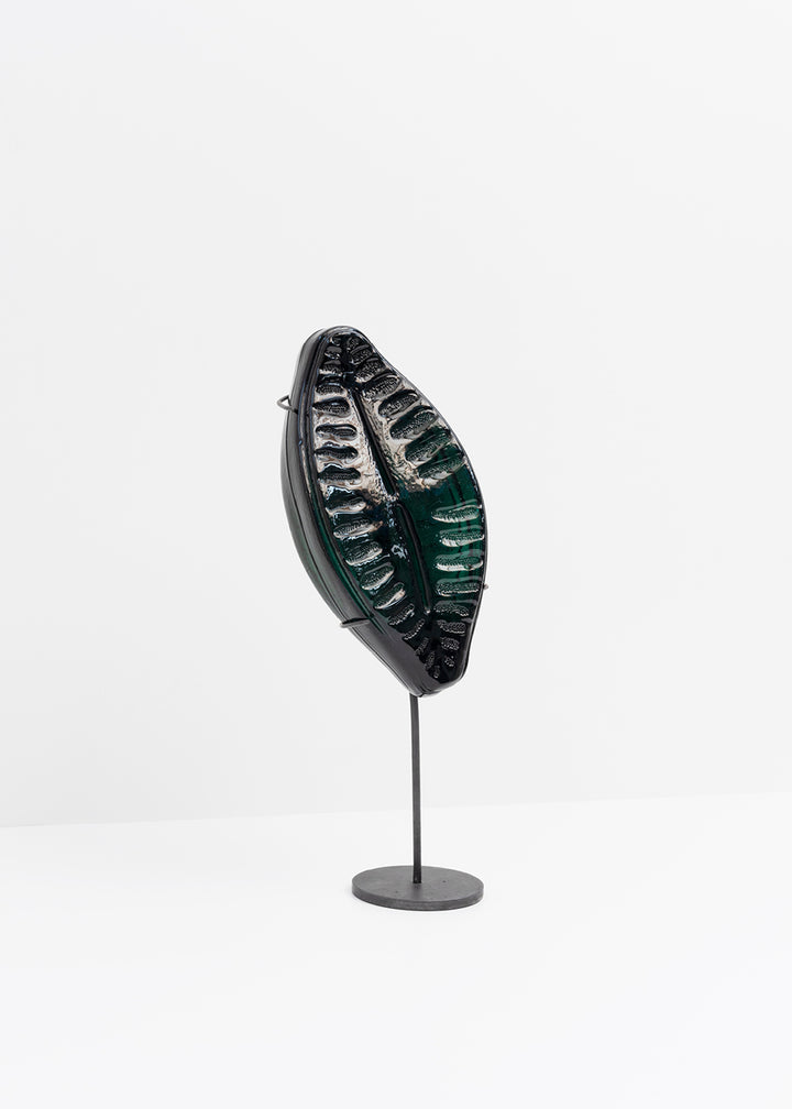 Planothidium · Verre marin Glaz