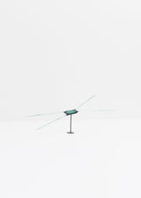 Chaetoceros · Verre marin Glaz