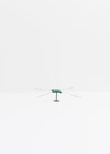 Chaetoceros · Verre marin Glaz