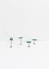 Chaetoceros · Verre marin Glaz