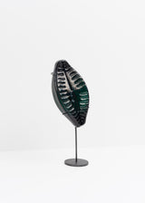 Planothidium · Verre marin Glaz