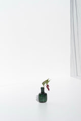 Soliflore · Verre marin Glaz